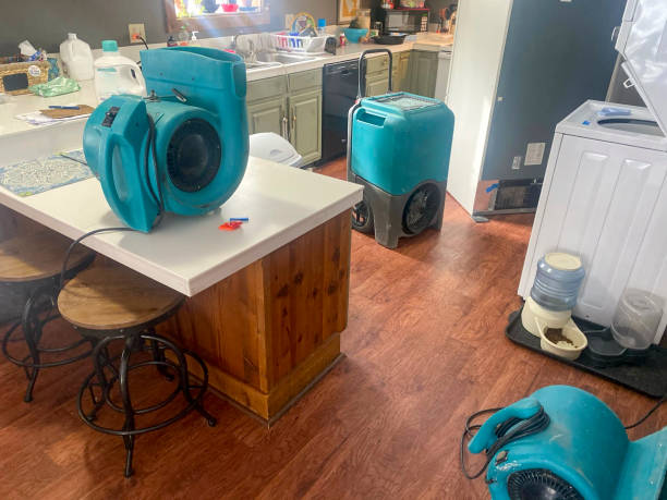 Best Flood damage cleanup  in Lamoni, IA