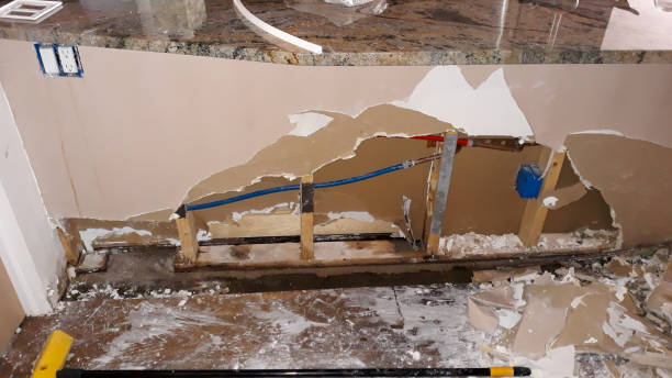 Best Water damage restoration mold remediation  in Lamoni, IA