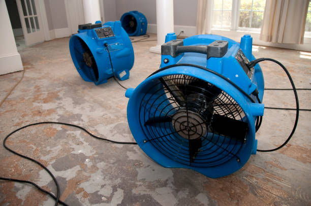 Best Flooded house restoration  in Lamoni, IA