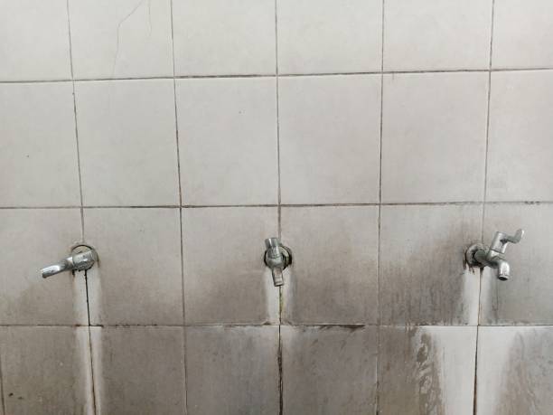 Best Water damage cleanup near me  in Lamoni, IA