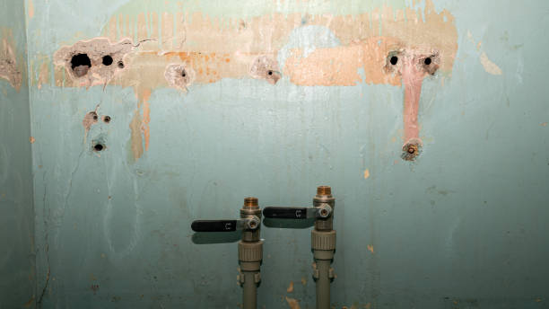Best Residential water damage restoration  in Lamoni, IA