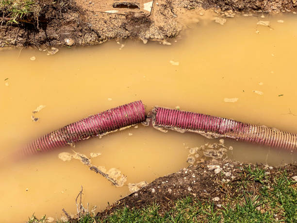 Best 24/7 water damage repair  in Lamoni, IA