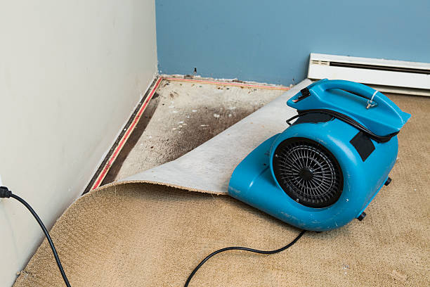  Lamoni, IA Water damage restoration Pros